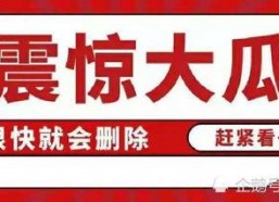 娱乐圈吃瓜帖子大全最新,揭秘明星幕后故事与精彩瞬间